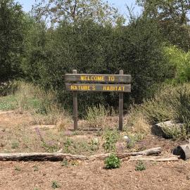 "Welcome to Nature's Habitat" sign in a garden of native plants