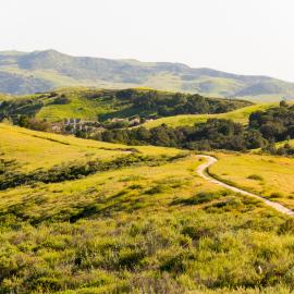 Trail running through rolling green hills