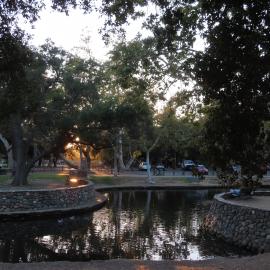 Dusk over a lake surrounded by oak trees in Irvine Regional Park