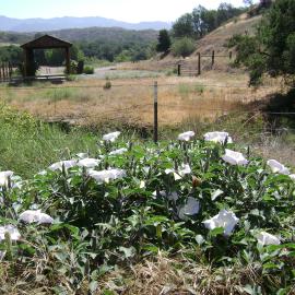 Hay barn at Augustine Staging Area Limestone Canyon