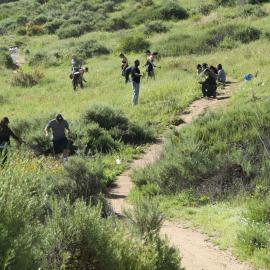 Keeping It Wild Near Stagecoach South Trail