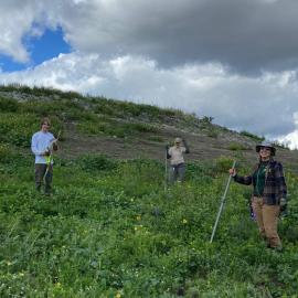 Keep it Wild Stewardship Event at Laguna Coast Wilderness Park