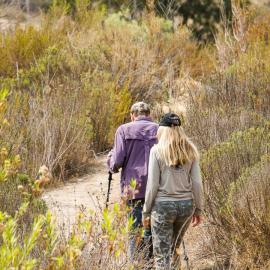 Reach for the Heights on Little Sycamore Trail