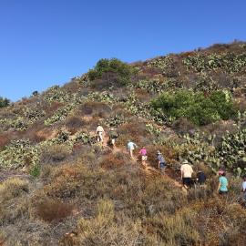 Walking in the Dilley Preserve