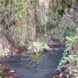 A view of dripping springs.