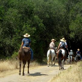 Horseback riders in the Irvine Ranch Open Space