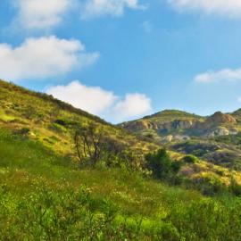 A view of Weir Canyon