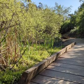 Peters Canyon Creek Trail Bridge