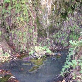 Dripping Springs Trail Restoration