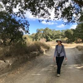 Early Morning Advanced Hike, Whiting Wilderness Park