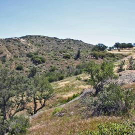 Monday Morning Super Trek, Weir Canyon to the Overlook Trail