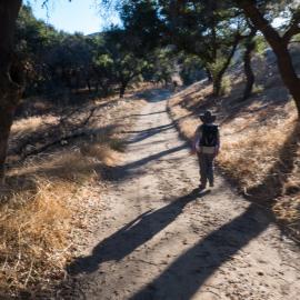 Weir Canyon Fitness Hike, Oaks to Overlook Loop