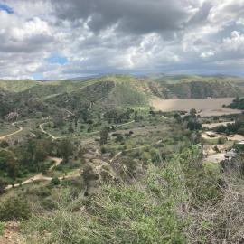 Santiago Oaks trails