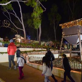 Group walks into Heritage Hill Historical Park as part of Holiday Lights. 