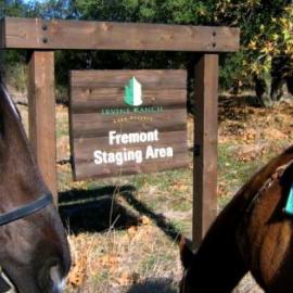 Equestrian Ride in Fremont: Big, Bold, Breathtaking!