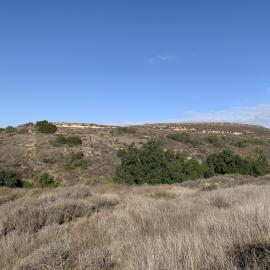 A view of Saddleback Wilderness Area