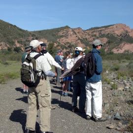 Hot Birds of Summer in Red Rocks, Bird Walk