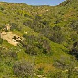 Intro to Cardio Hike: Weir Canyon Rifle Range Loop