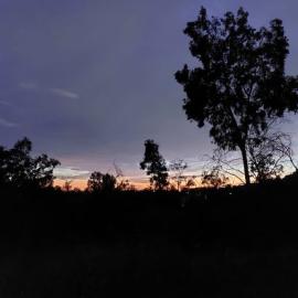 night sunset