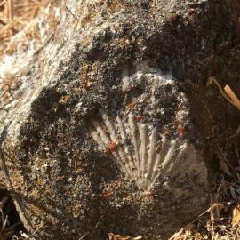 Geology Hike at Dilley