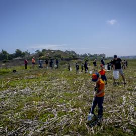 Upper Newport Bay restoration event 