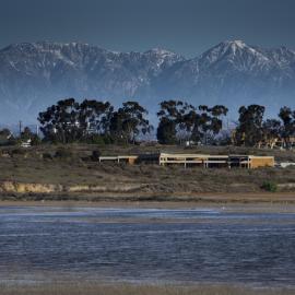 Upper Newport Bay in Winter