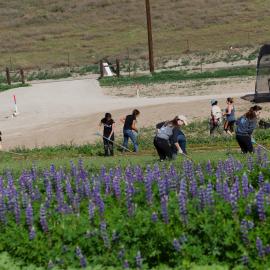 Native Seed Farm