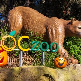 oc zoo halloween