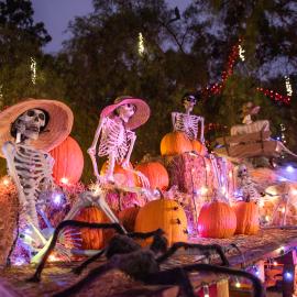 Skeleton decorations at Fall-O-Ween at Heritage Hill Historical Park. 