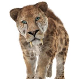 smilodon