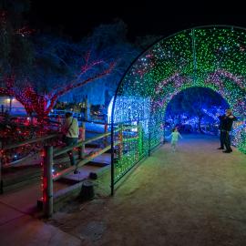 Light tunnel decoration at Holiday Lights at Heritage Hill Historical Park.