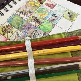 Nature Journal Month