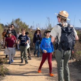 junior ranger program down trail