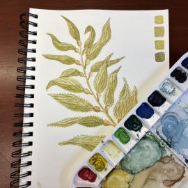 Watercolor Kelp