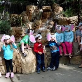 OC Zoo PreK Class