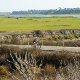 biker on the bay