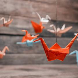 Origami cranes hanging