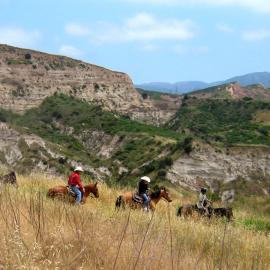 Equestrian ride through beautiful Limestone Canyon.