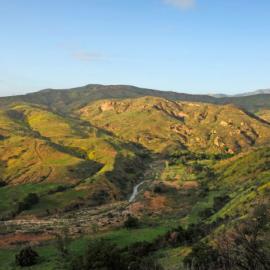 Outdoors at the Irvine Ranch Conservancy