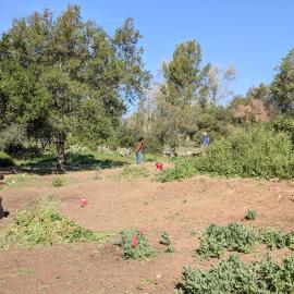 Habitat Adventure Trail Restoration