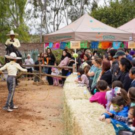 Attendees watch a charro horse roping demonstration at Rancho Days Fiesta at Heritage Hill Historical Park in Lake Forest.