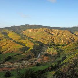 View at Irvine Ranch Open Space