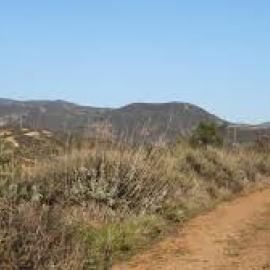 Single Tracks of Baker Canyon
