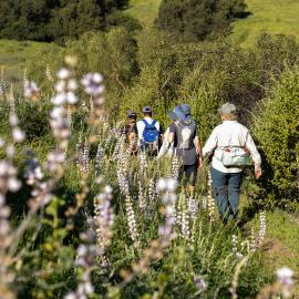 Hiking 102