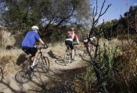 Mountain bikers ride on a trail.