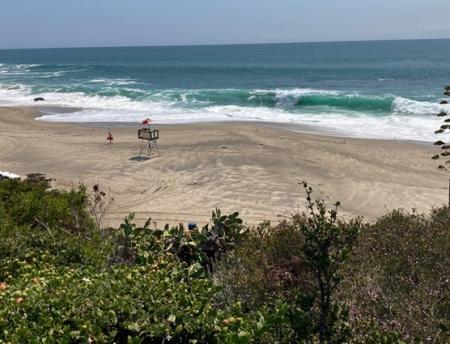 Waves on a beach with a small lifeguard tower and greenery in the foreground